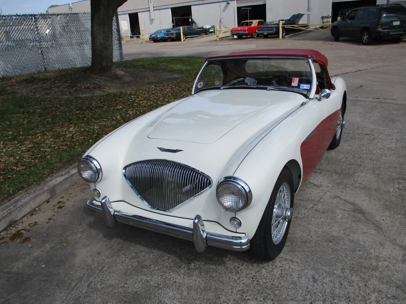 1954 Austin-Healey 100
