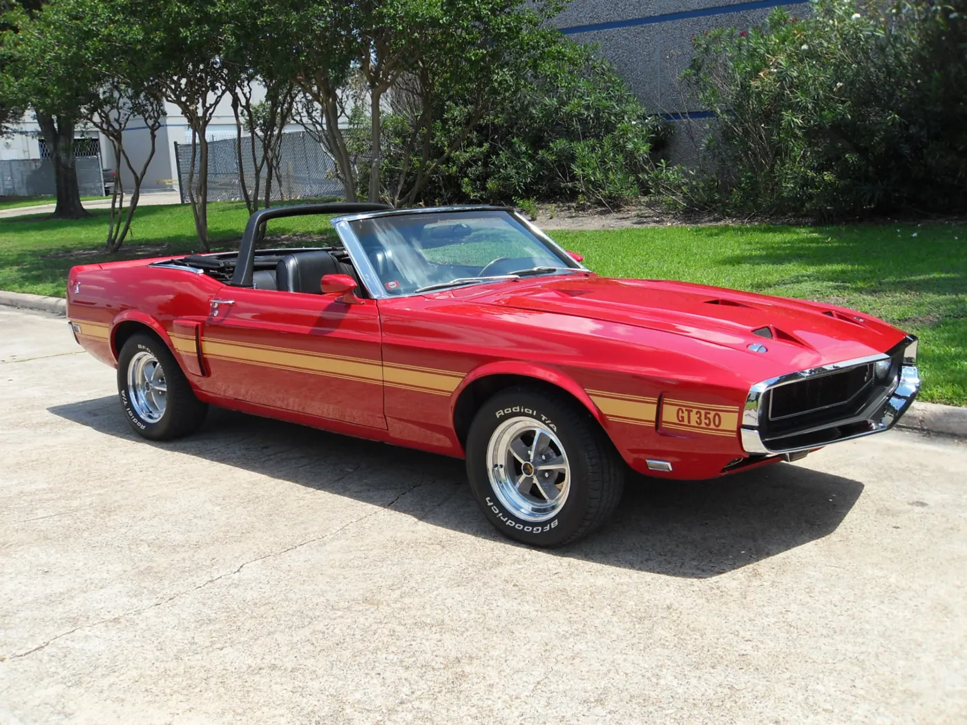 1969 Shelby GT350 Convertible